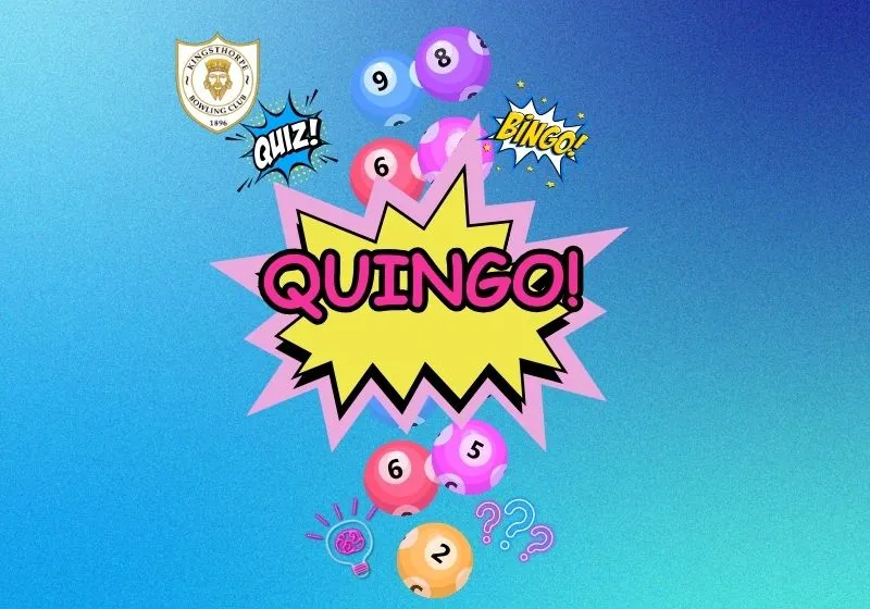Quingo Webpage Banner